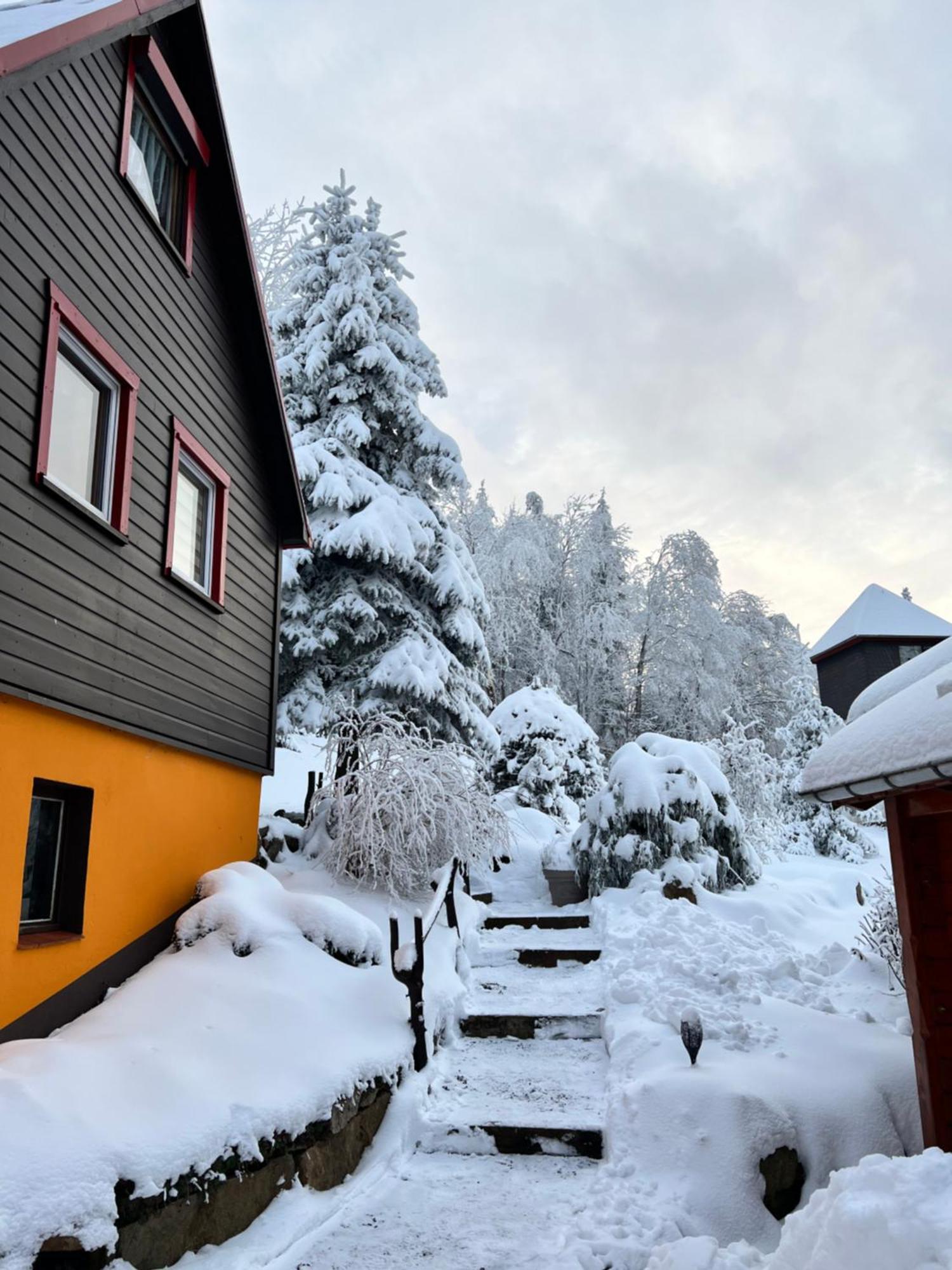 Haus Tadeus Apartment Altenberg Bagian luar foto